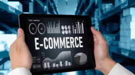E-commerce data software provide modish dashboard for sale analysis to the online retail business