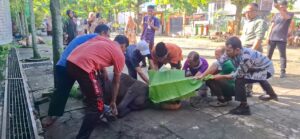 Luar Biasa, Kurban Perdana di MAN 1 Padang Langsung Sembelih 2 Sapi dan 4 Kambing