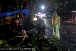Cuaca Ekstrem Mengakibatkan Dua Pohon Tumbang, Timpa Rumah dan Ganggu Akses Jalan