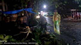 Cuaca Ekstrem Mengakibatkan Dua Pohon Tumbang, Timpa Rumah dan Ganggu Akses Jalan