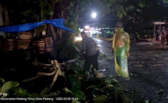 Cuaca Ekstrem Mengakibatkan Dua Pohon Tumbang, Timpa Rumah dan Ganggu Akses Jalan