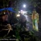 Cuaca Ekstrem Mengakibatkan Dua Pohon Tumbang, Timpa Rumah dan Ganggu Akses Jalan