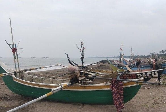 Nelayan Padang Kesulitan Melaut, Produksi Ikan Anjlok Akibat Cuaca Ekstrem