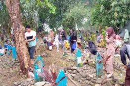 Warga Berok Ikur Koto Bersihkan Kuburan Kaum, Tradisi Silaturahmi Menyambut Ramadan