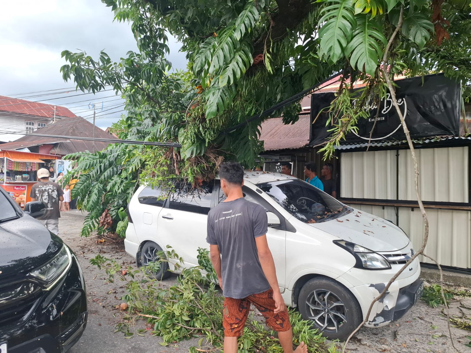 Pohon Tumbang Timpa Mobil dan Hambat Akses Jalan di Pauh