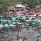 Masyarakat melakukan tradisi balimau menjelang Ramadan, di pemandian Lubuk Minturun, Kecamatan Koto Tangah, Kota Padang, Jumat sore (28/2/2025).