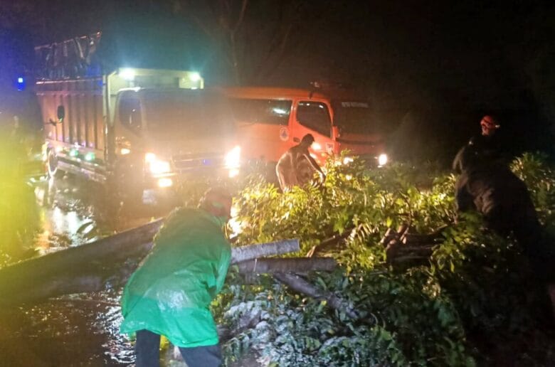 Hujan Deras dan Angin Kencang, Dua Pohon Tumbang di Jalan Hujan Deras dan Angin Kencang, Dua Pohon Tumbang di Jalan By Pass Padang
