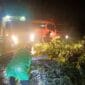 Hujan Deras dan Angin Kencang, Dua Pohon Tumbang di Jalan By Pass Padang
