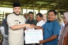 Wali Kota Padang Serahkan Hibah 22 Sapi untuk Kelompok Tani