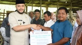 Wali Kota Padang Serahkan Hibah 22 Sapi untuk Kelompok Tani