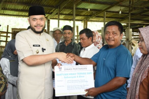 Wali Kota Padang Serahkan Hibah 22 Sapi untuk Kelompok Tani