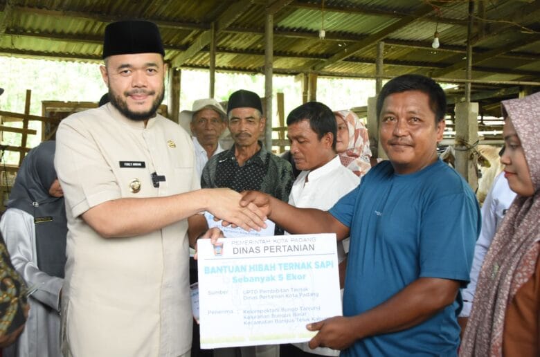 Wali Kota Padang Serahkan Hibah 22 Sapi untuk Kelompok Tani Wali Kota Padang Serahkan Hibah 22 Sapi untuk Kelompok Tani
