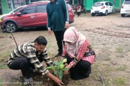 Peringati Hari Bumi 2025, MAN 3 Padang Tanam Pohon Matoa