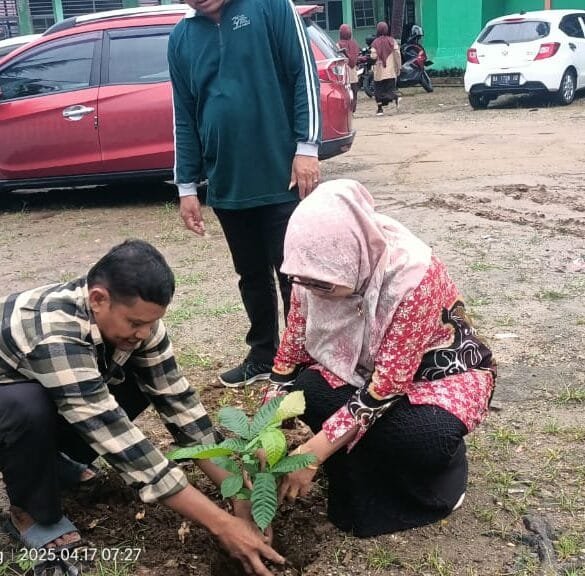 Peringati Hari Bumi 2025, MAN 3 Padang Tanam Pohon Matoa