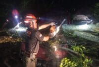 Pohon Tumbang Timpa Mobil dan Pagar Rumah Warga di Padang Besi