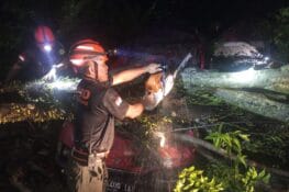 Pohon Tumbang Timpa Mobil dan Pagar Rumah Warga di Padang Besi