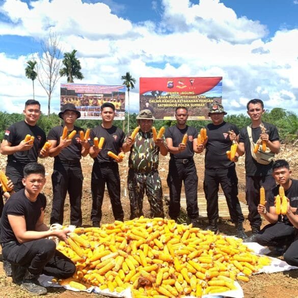 Brimob Sumbar Panen Jagung Dukung Swasembada Pangan