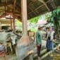 Pemeriksaan Hewan Kurban di Padang Pariaman Diperketat