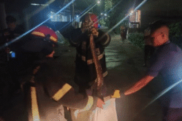 Damkar Padang Evakuasi Ular Piton dari Kandang Ayam Warga
