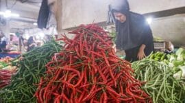 Harga Cabai dan Sejumlah Komoditi Pangan Turun di Padang Panjang