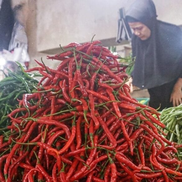 Harga Cabai dan Sejumlah Komoditi Pangan Turun di Padang Panjang