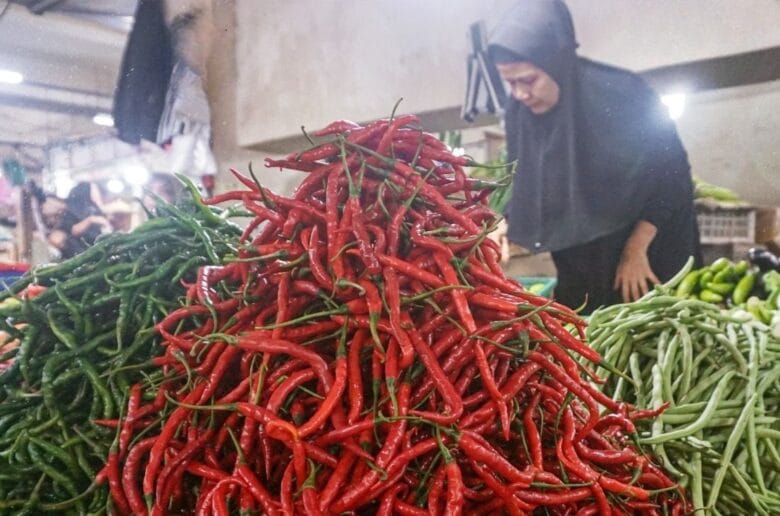 Harga Cabai dan Sejumlah Komoditi Pangan Turun di Padang Panjang Harga Cabai dan Sejumlah Komoditi Pangan Turun di Padang Panjang