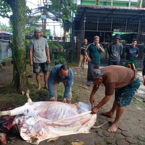 Sembelih Dua Ekor Sapi, MAN I Padang berbagi ke Warga Sekeliling Madrasah