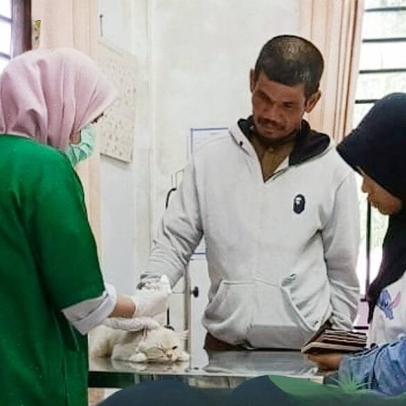 Pemko Gratiskan Layanan Kesehatan Hewan di Padang Panjang