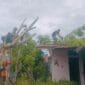 Pohon Tumbang di Enam Kecamatan, Padang Diterjang Cuaca Ekstrem