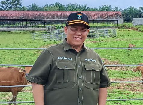 35 Ribu Dosis Disiapkan, DPKH Sumbar Ajak Warga Vaksin Hewan Peliharaan