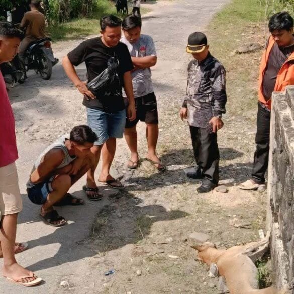 Anjing Liar yang Gigit 10 Warga Padang Pariaman Sudah Dimusnahkan