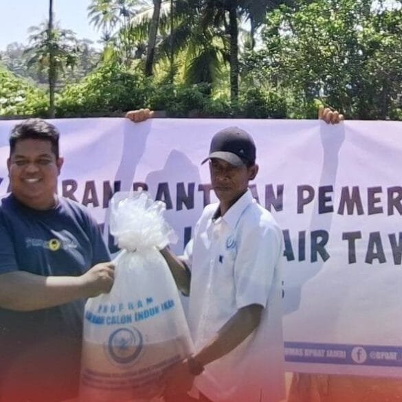 Padang Panjang Terima Bantuan Induk Ikan dari BPBAT Jambi