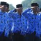 Pemko Padang Panjang Tawarkan Skema Alih Daya untuk THL Non-Database BKN