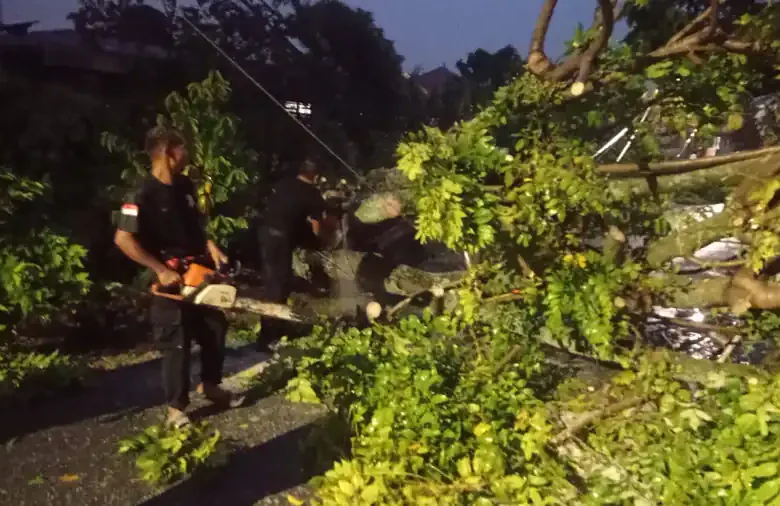 pohon-tumbang-timpa-rumah-warga-di-padang