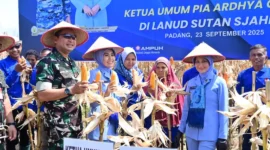 Kepala Staf Angkatan Udara (Kasau) Marsekal TNI M. Tonny Harjono dan Ketua Umum PIA Ardhya Garini, Isa M. Tonny Harjono, saat panen raya jagung di area ketahanan pangan Lanud Sutan Sjahrir di Padang. (Ist.)