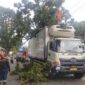 Petugas BPBD Kota Padang bersama tim gabungan membersihkan pohon mahoni tumbang di Jalan Pertanian Sungai Lareh. (Ist.)