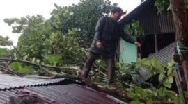 Hujan deras disertai angin kencang di Kota Padang, Minggu (28/9/2025), menyebabkan pohon tumbang dan merusak tiga rumah warga di dua lokasi berbeda. (Ist.)