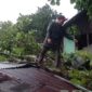 Hujan deras disertai angin kencang di Kota Padang, Minggu (28/9/2025), menyebabkan pohon tumbang dan merusak tiga rumah warga di dua lokasi berbeda. (Ist.)