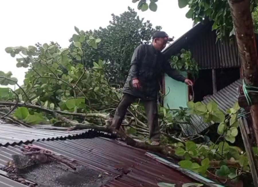 Hujan Disertai Angin Kencang, Pohon Tumbang Rusak Tiga Rumah Warga di Padang