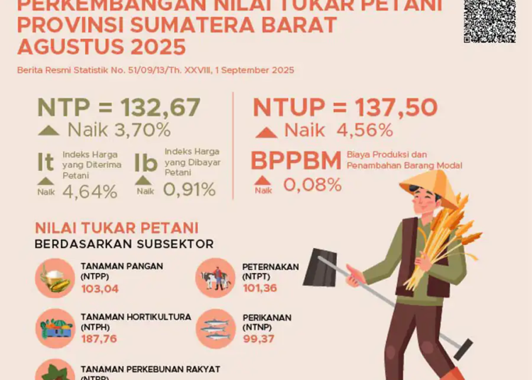 Nilai Tukar Petani (NTP) Sumbar Agustus 2025 naik 3,70 persen menjadi 132,67. Hortikultura catat NTP tertinggi, sementara perikanan budidaya masih di bawah 100. (Foto: BPS Sumbar)