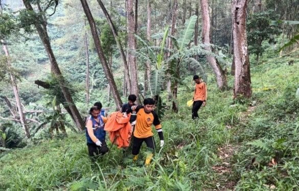 Ngeri! Puluhan Potongan Tubuh Manusia Ditemukan Berserakan di Jurang