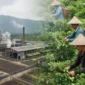 Ilustrasi -  Sentra IKM Gambir di Kecamatan Sutera, Kabupaten Pesisir Selatan, diharapkan menjadi motor penggerak ekonomi baru bagi petani di daerah tersebut.