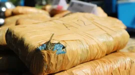 Ilustrasi - BNNP Sumbar gagalkan penyelundupan narkoba di Agam dan Padang. Barang bukti 50 paket ganja dan delapan paket sabu diamankan, enam pelaku ditangkap.