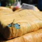 Ilustrasi - BNNP Sumbar gagalkan penyelundupan narkoba di Agam dan Padang. Barang bukti 50 paket ganja dan delapan paket sabu diamankan, enam pelaku ditangkap.