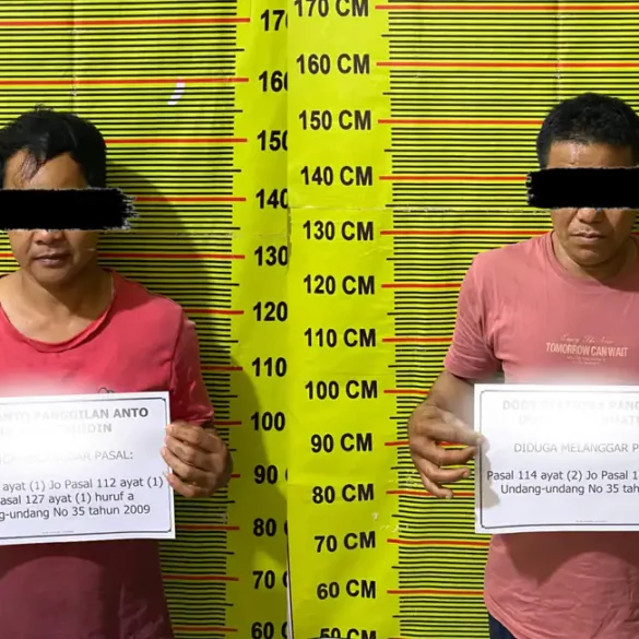 Dua Pria Ditangkap di Solok Selatan, Polisi Sita 10 Paket Sabu