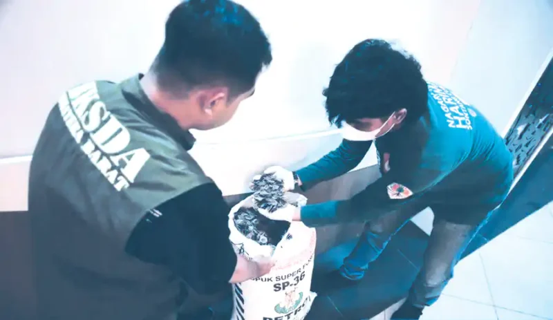 Petugas dari BKSDA dan Polda Sumbar menunjukkan barang bukti sisik tenggiling yang berhasil disita dari tiga terduga pelaku perdagangan satwa dilindungi. (Ist.)
