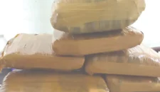 Petugas AVSEC Bandara Internasional Minangkabau menggagalkan penyelundupan 7 kg ganja kering tujuan Jakarta. Paket dikirim dari Batusangkar lewat jasa ekspedisi J&T Express. (Ist.)