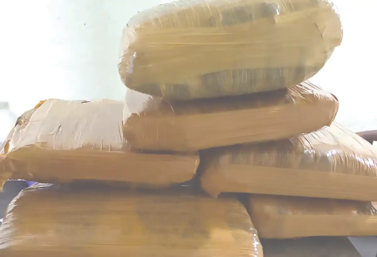 Petugas AVSEC BIM Gagalkan Penyelundupan 7 Kg Ganja Senilai Ratusan Juta Rupiah
