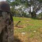 Nisan batu bergaya menhir di Makam Kuno Talago Gunung, Nagari Saruaso, Tanah Datar. Foto : Mardoni Saputra.
