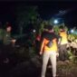 Petugas dari Tim Reaksi Cepat (TRC) BPBD Pesisir Selatan saat melakukan pemotongan dan evakuasi batang pohon besar yang tumbang dan menutupi badan jalan lintas Padang-Bengkulu di Batang Kapas. (Foto: BPBD Pesisir Selatan)